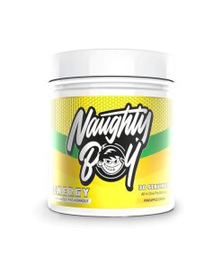 Naughty Boy - Energy