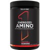 Rule One - Energized Amino