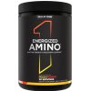 Rule One - Energized Amino