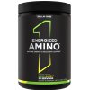 Rule One - Energized Amino