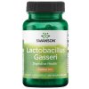 SWANSON Lactobacillus Gasseri 60 kaps