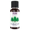 Woodland Walk Oil Blend