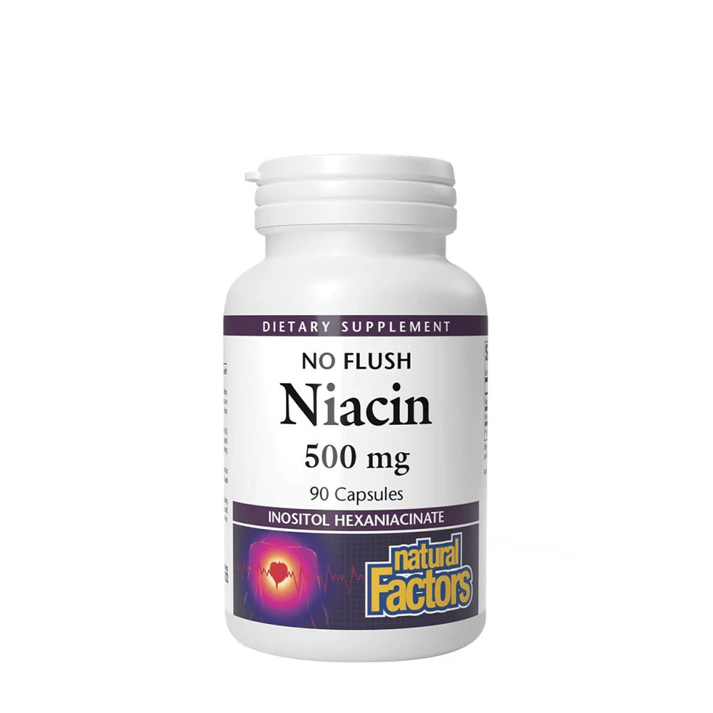 Natural Factors Niacin 500 mg (90 Capsules)
