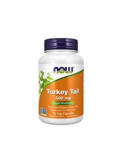 Now Foods - Turkey Tail 500 mg (90 Capsules)