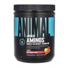 Animal Juiced Aminos