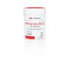 DR. ENZMANN MSE Vitamin B12 MSE MAX (120 caps)