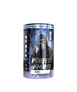 Skull Labs Perfect Amino (450 g